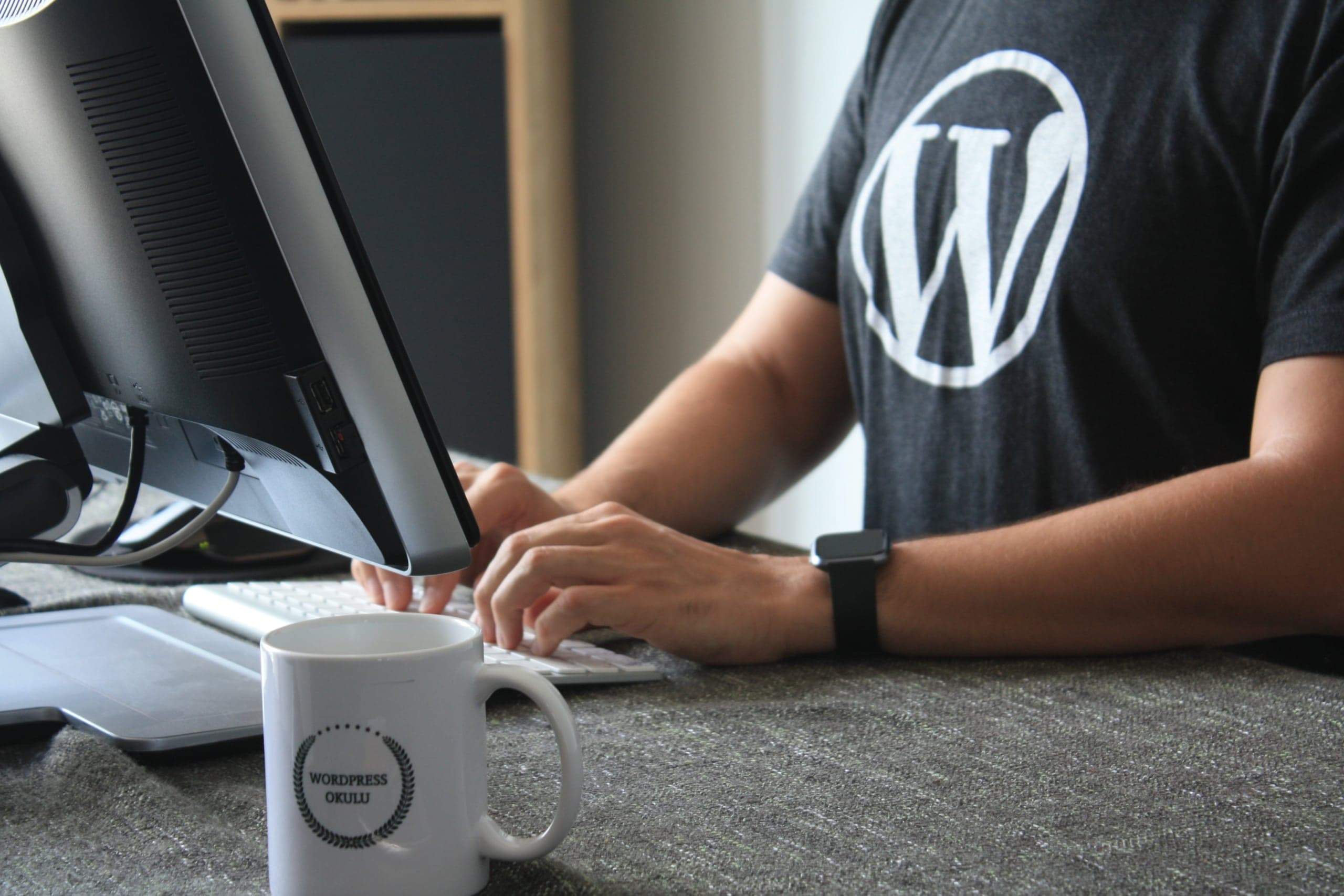 Instal·lar WordPress per a entitats i emprenedors
