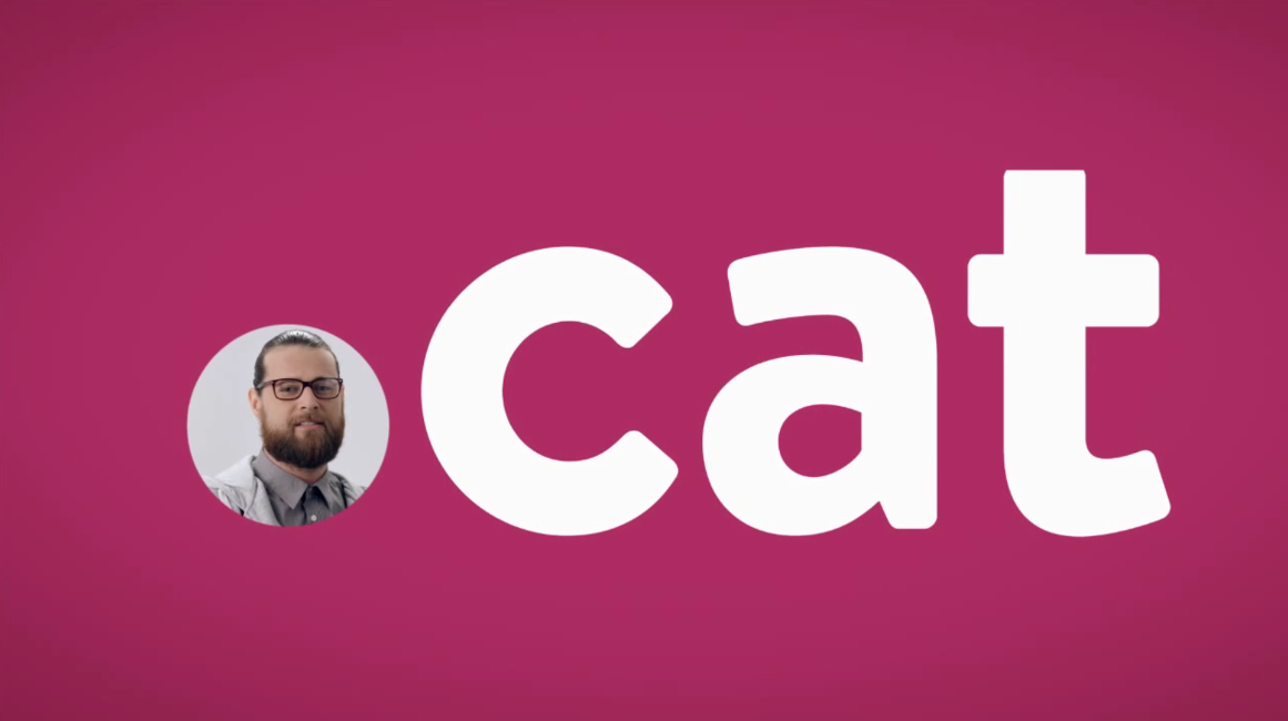 Imatge d'un dels anuncis de la campanya  "A Internet i en català .cat. Diu més de tu"